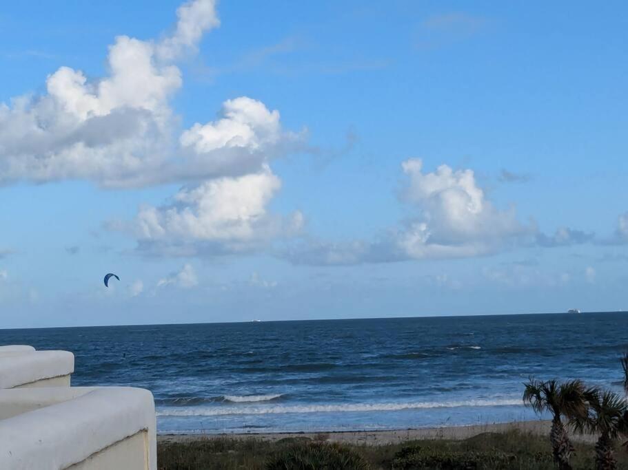 Photo 50