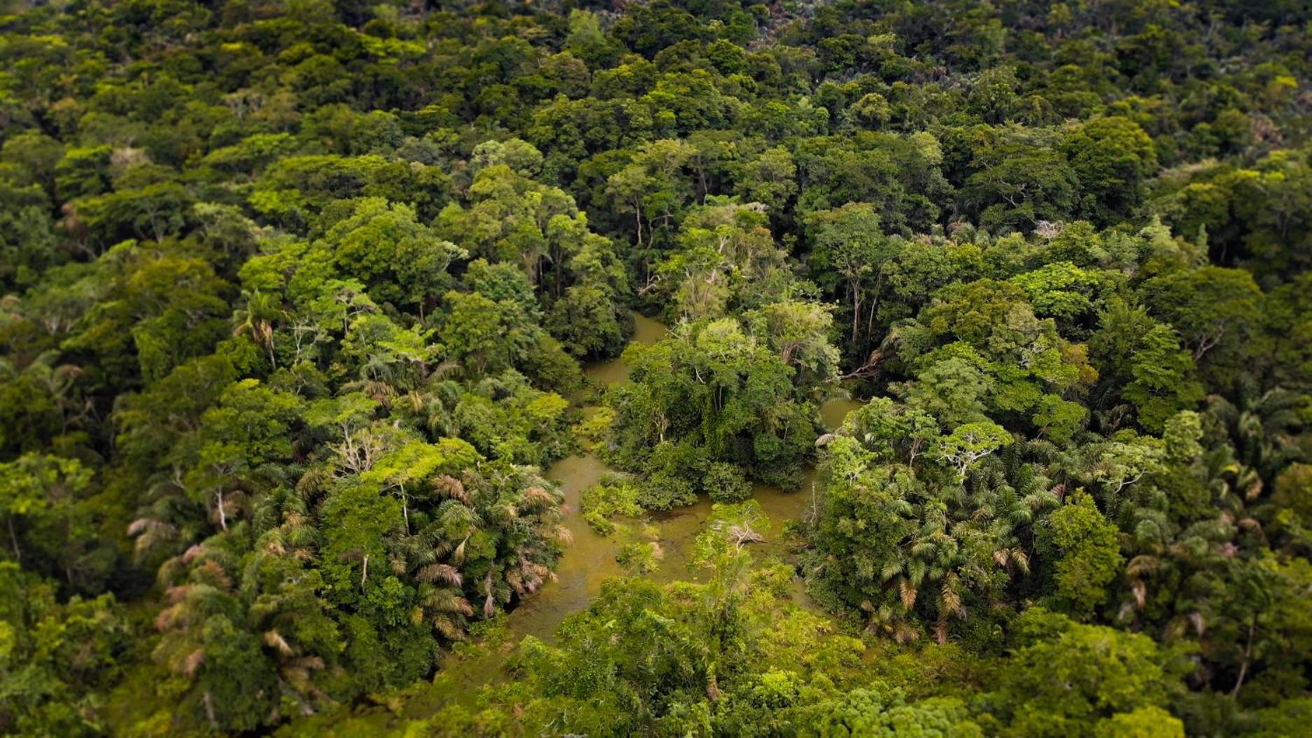 Casa Grande at Pacuare Reserve