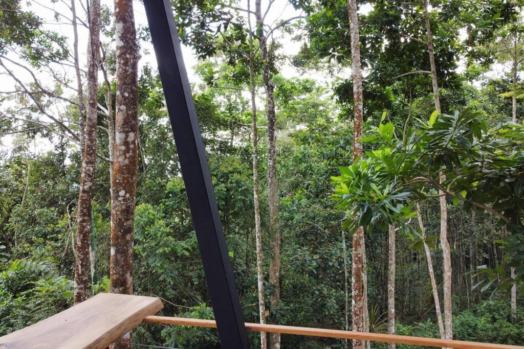 Pandanus Lodge & Retreats Bungalow Strelizia