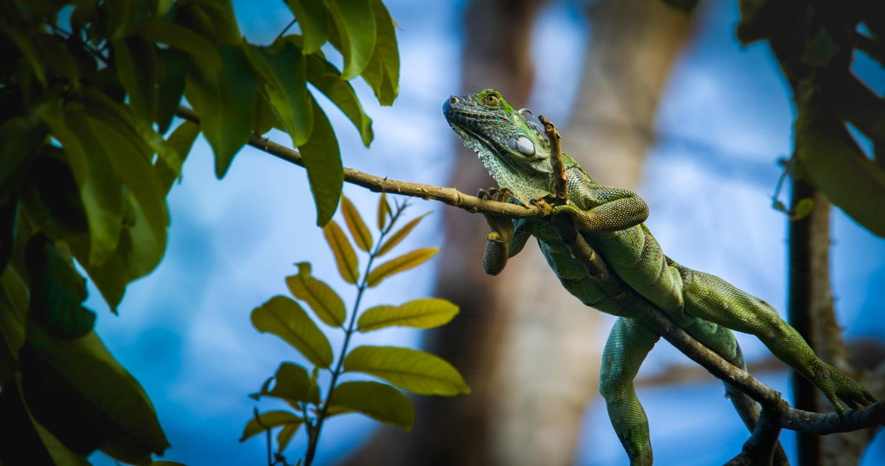 Casa Grande at Pacuare Reserve
