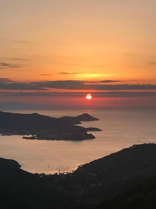 Il polpo blu view 2