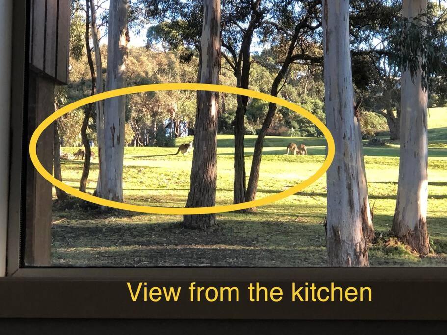 Golfview Lorne
