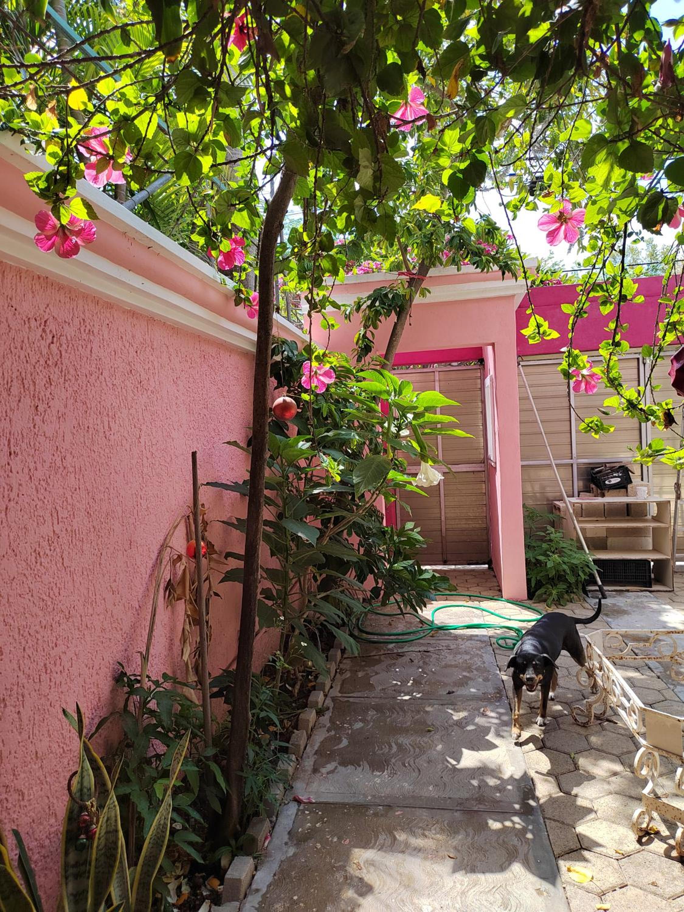 Barbie home