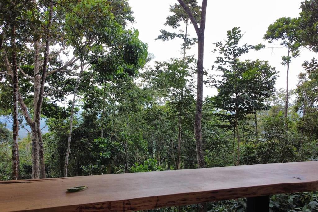 Pandanus Lodge & Retreats Bungalow Orchidee