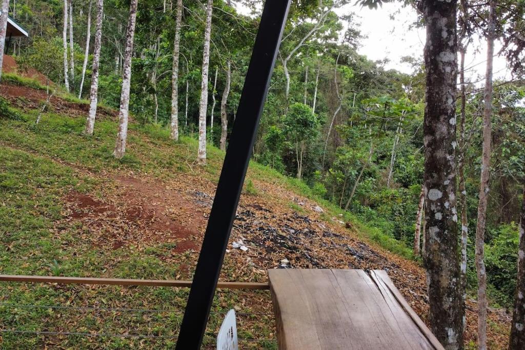 Pandanus Lodge & Retreats Bungalow Orchidee