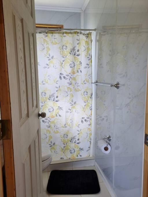 Cabaña Antü küyen Melipeuco 02