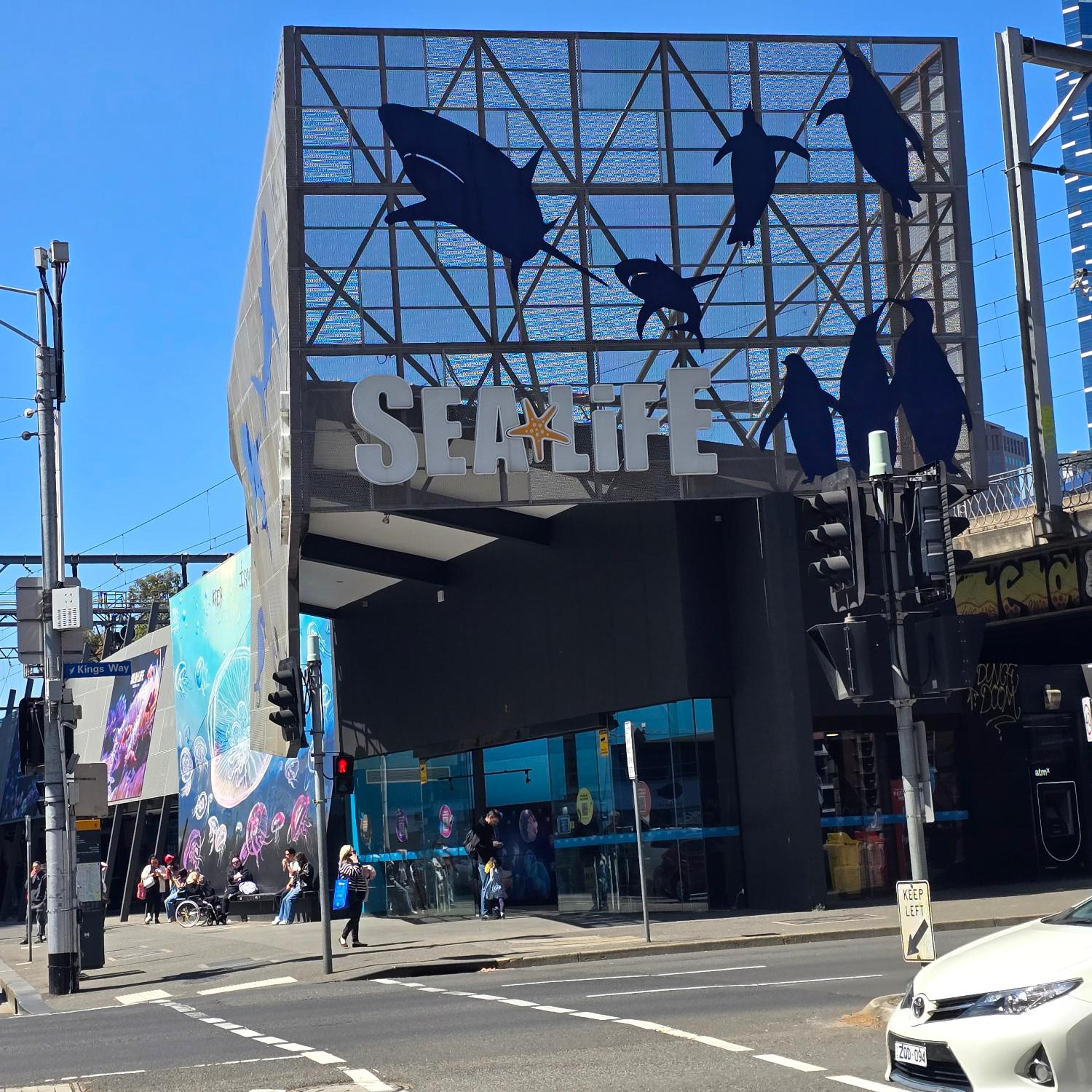 Pristine on Flinders