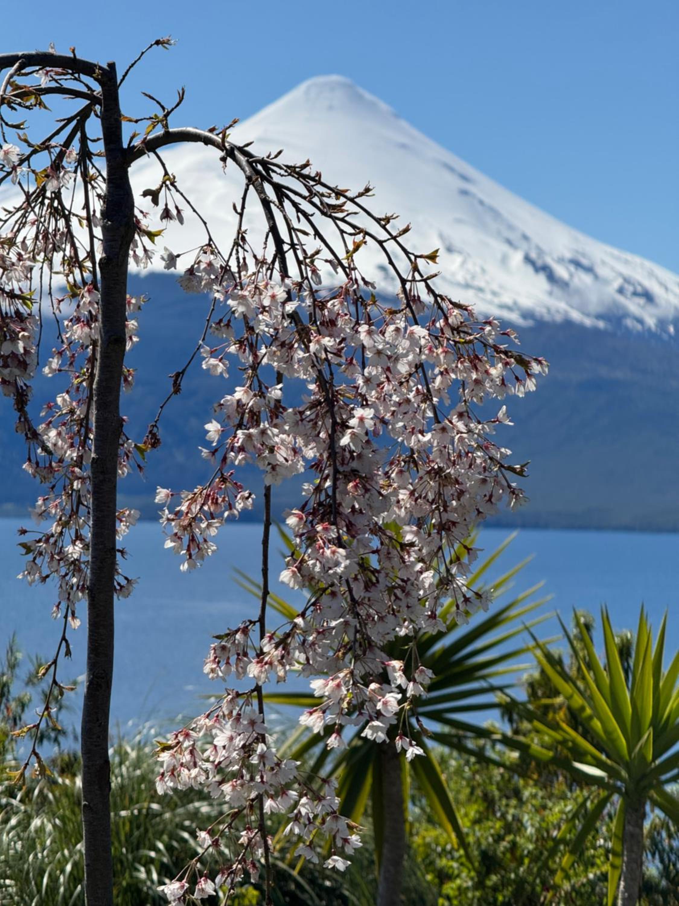Casa EL CIERVO, Los Riscos, Puerto Varas