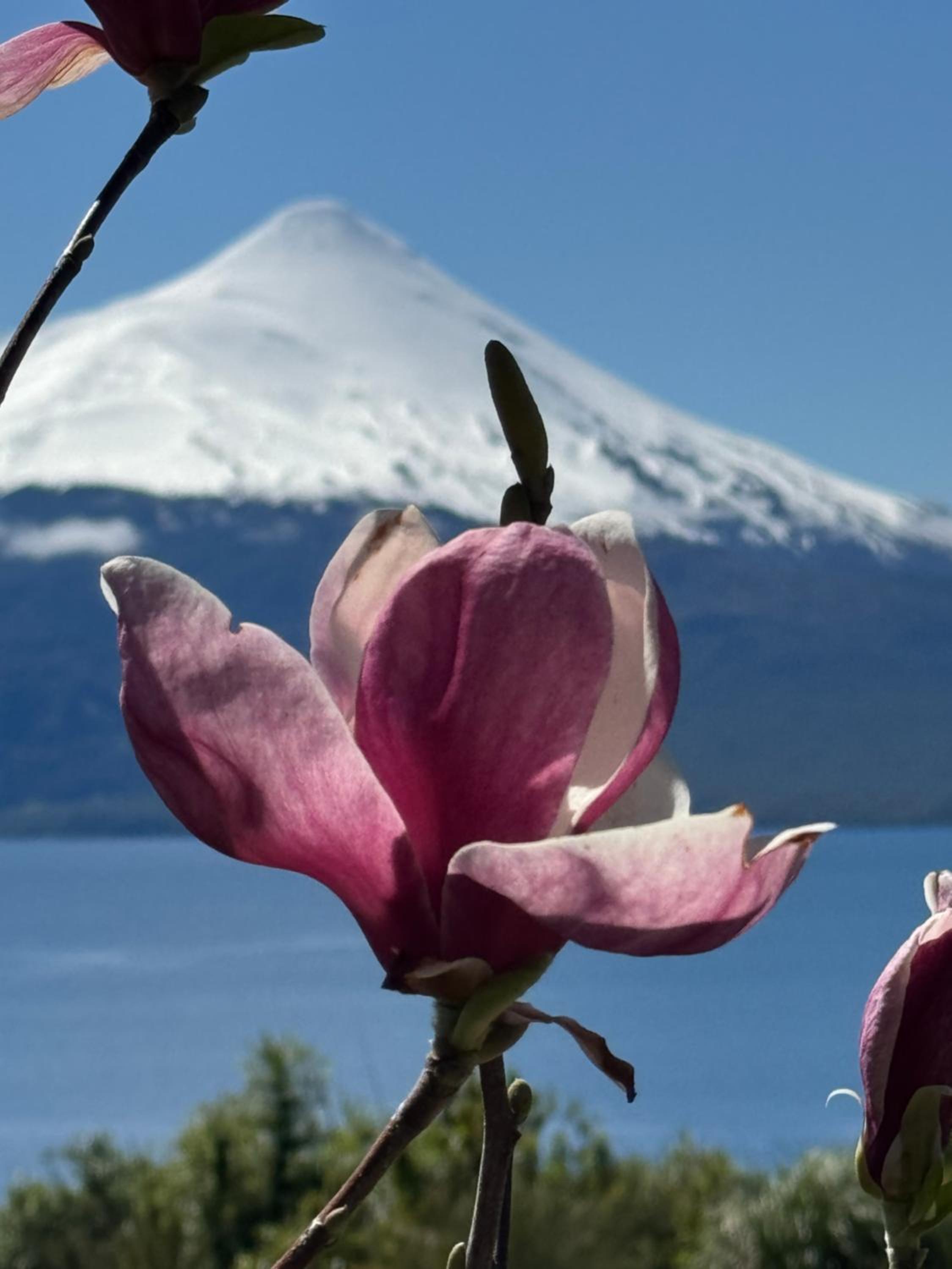 Casa EL CIERVO, Los Riscos, Puerto Varas