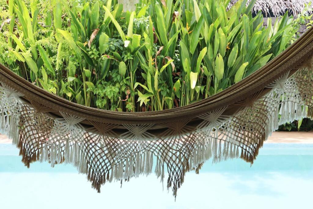 Sleepy Gypsea Villa Siargao