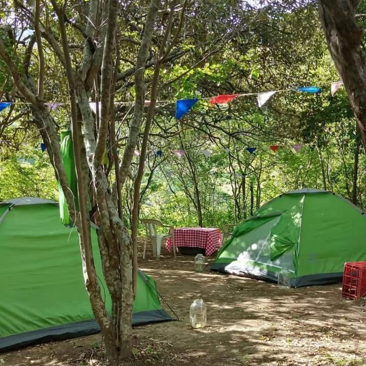 Alquiler de camping