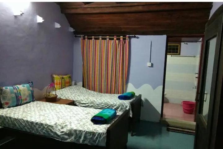 PATTERI TRANQUILITY Homestay
