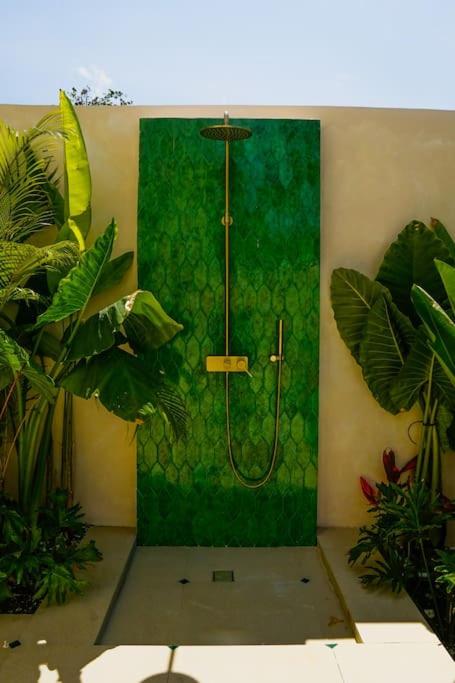 Photo 41
