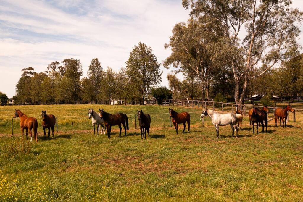 Redbank Estate - Luxury in Scone