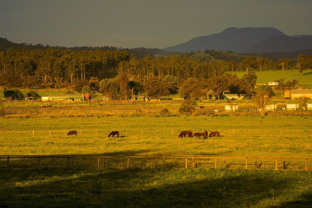 Redbank Estate - Luxury in Scone