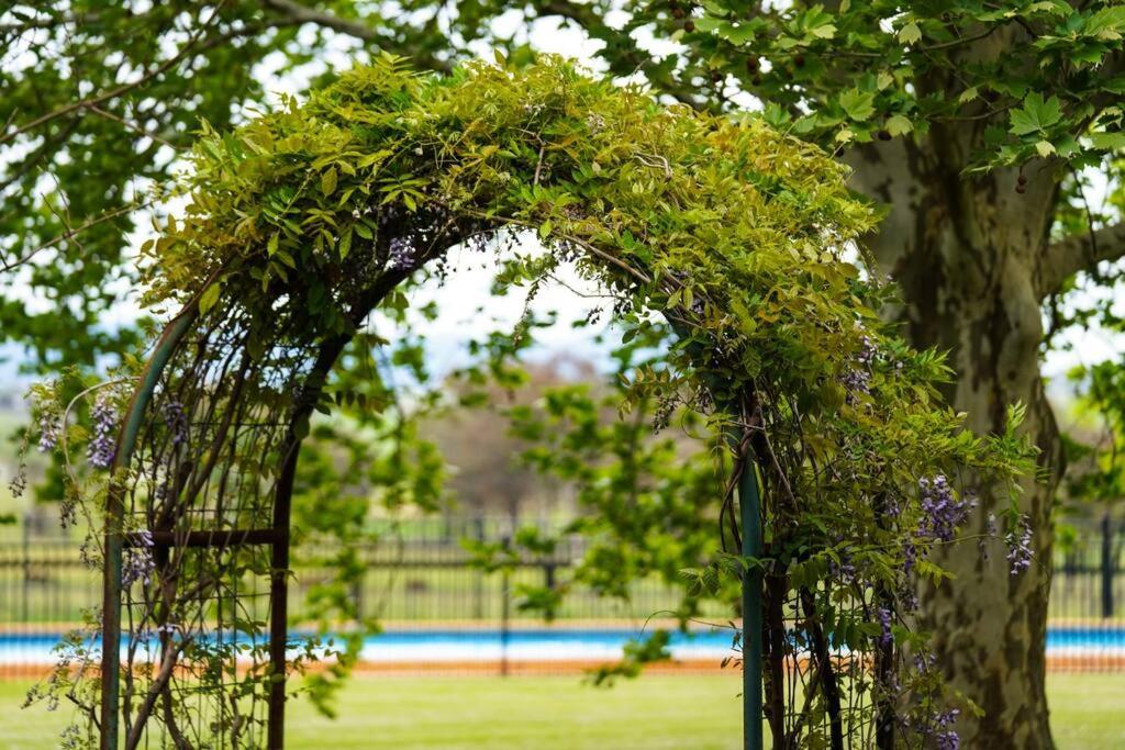 Redbank Estate - Luxury in Scone