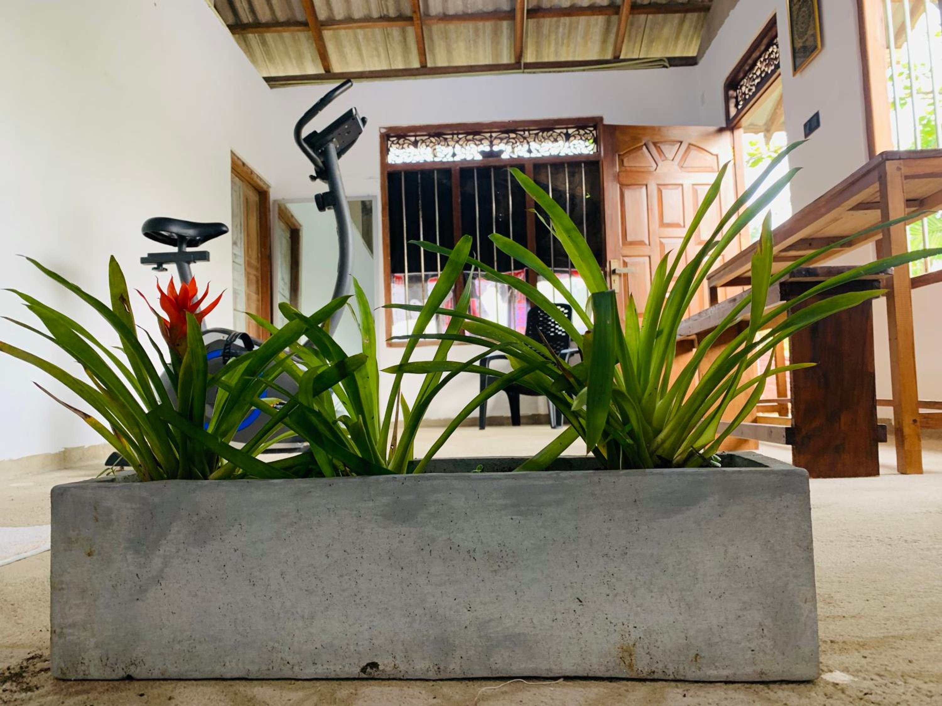 Photo 15