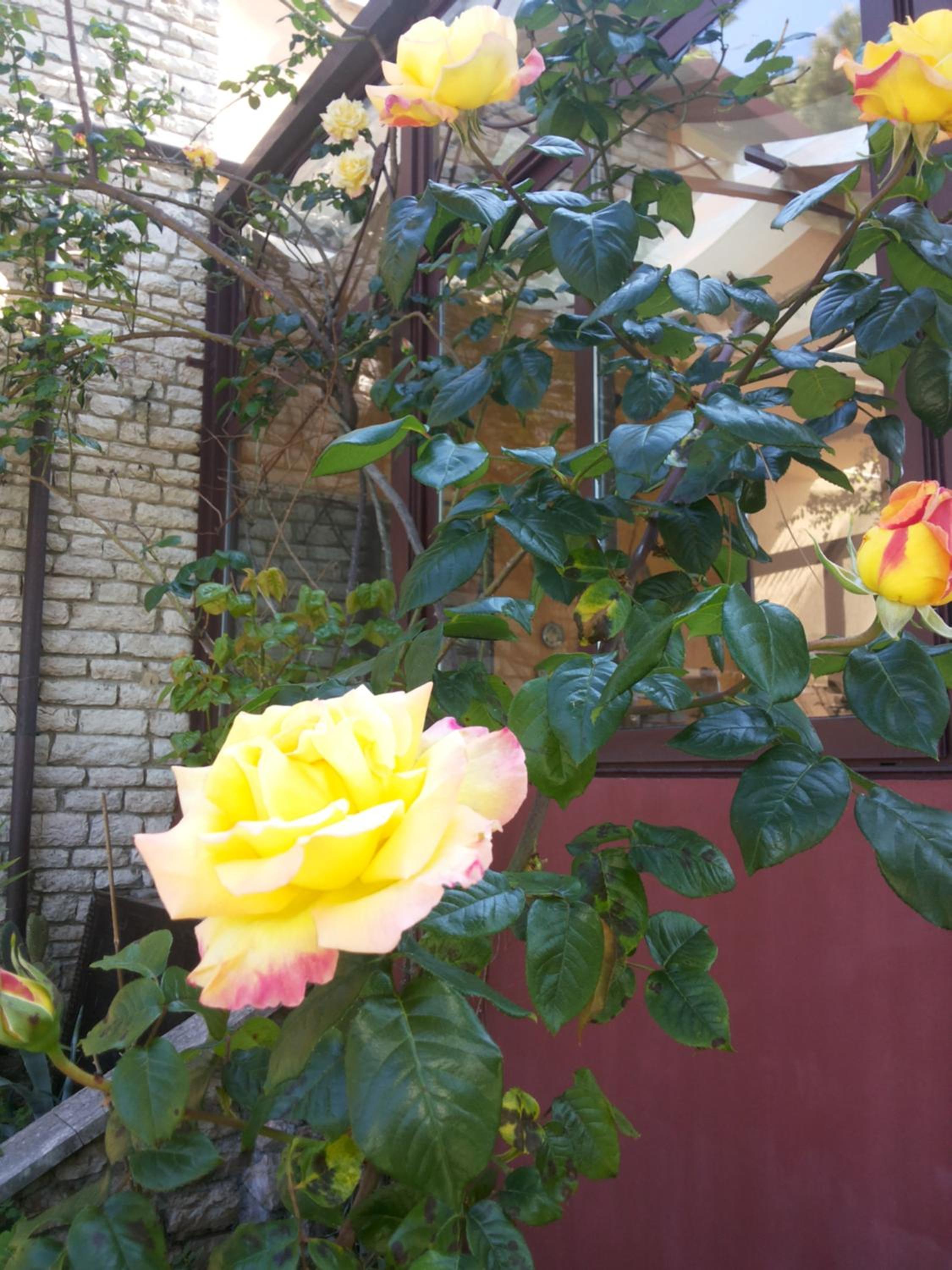 Photo 20