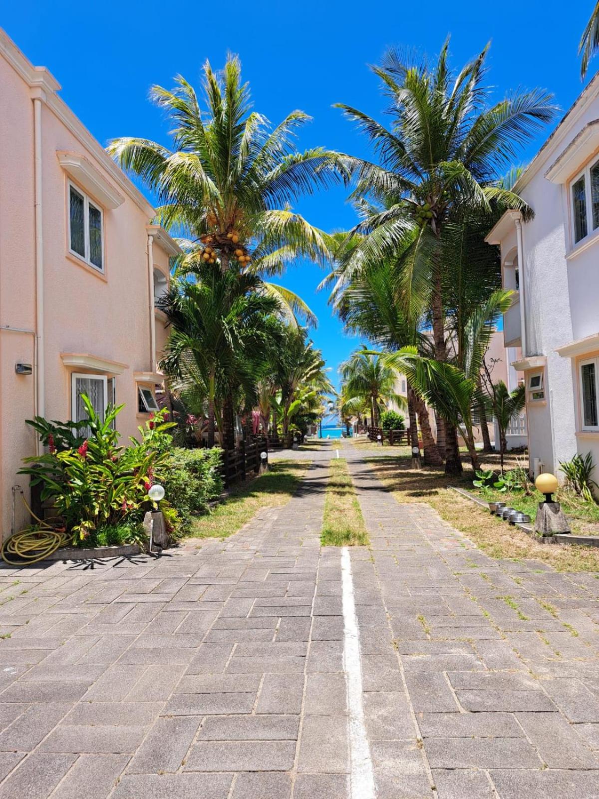 Sunshine Beach Villa photo 3