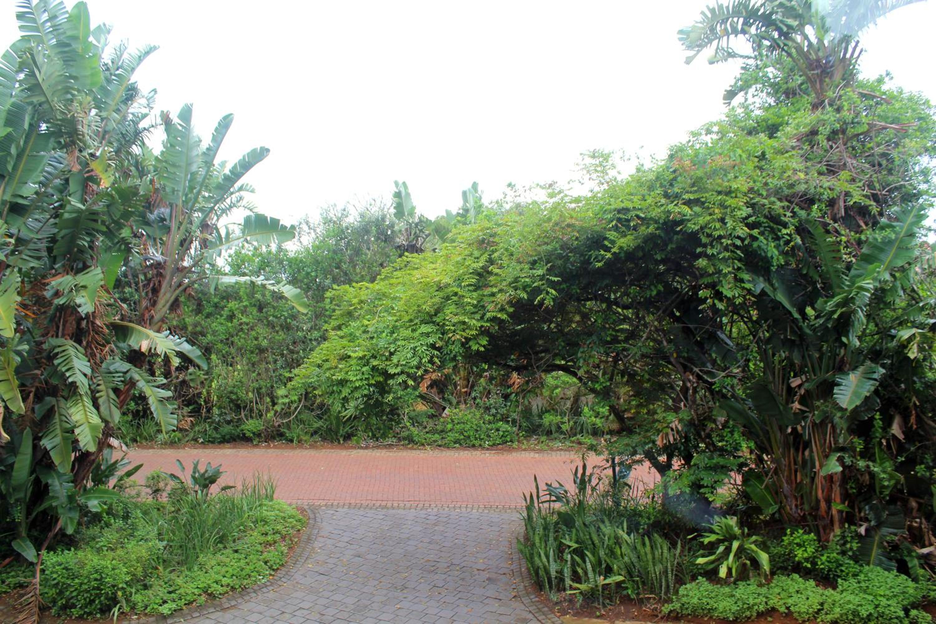 Zimbali Palms Luxe Escape & Private Pool view 4