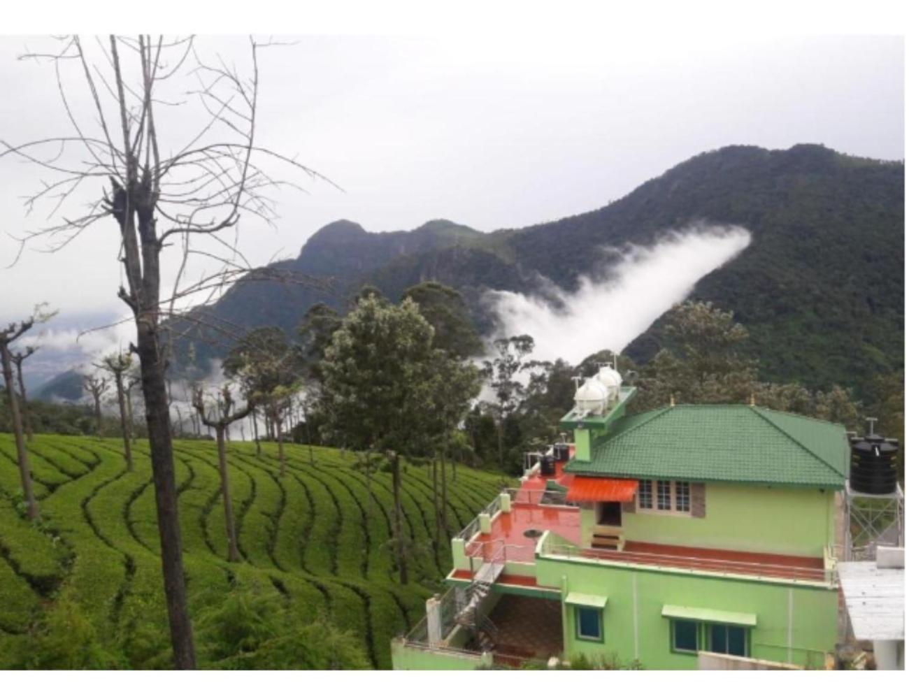Best View Cottage, Tamil Nadu view 4