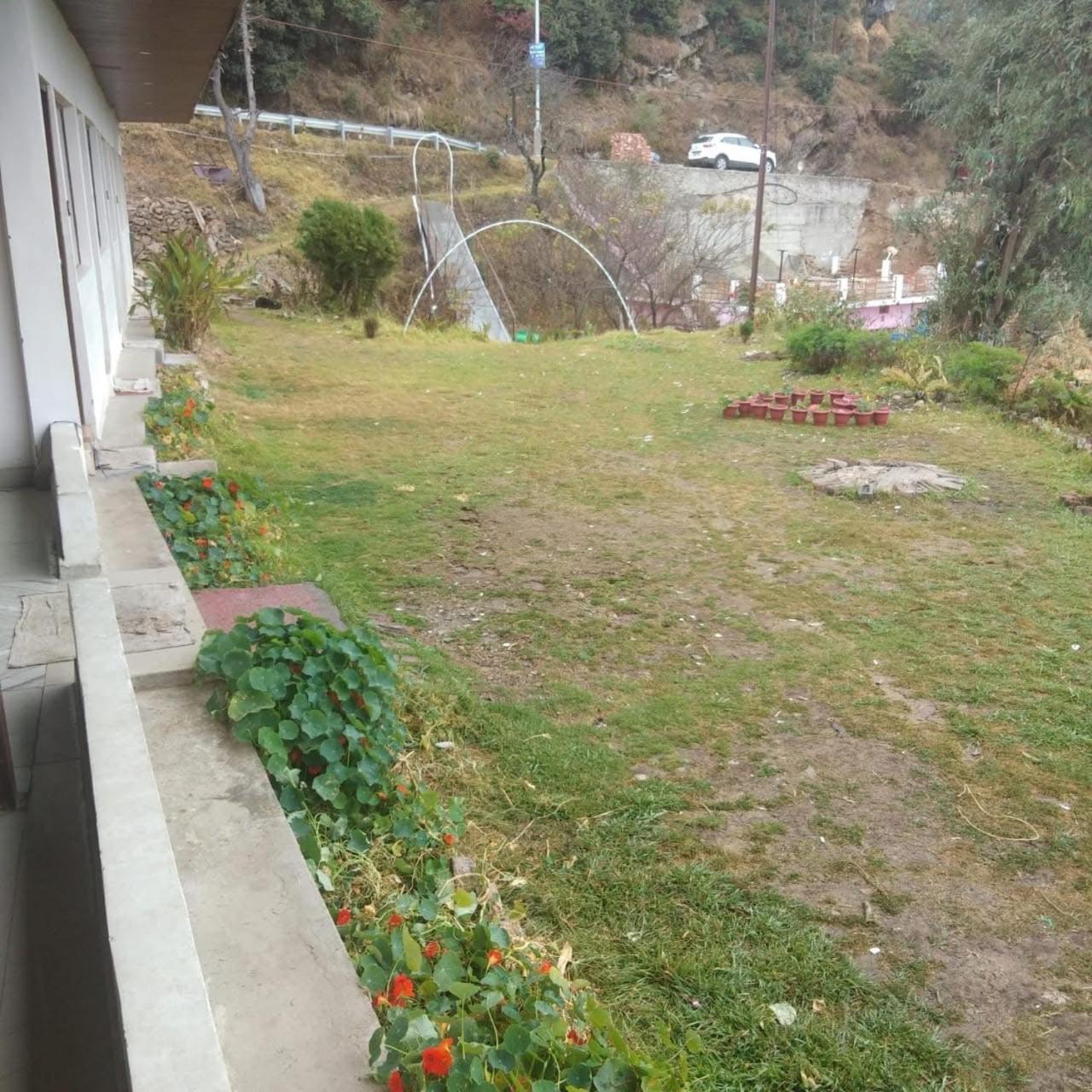 Photo 7