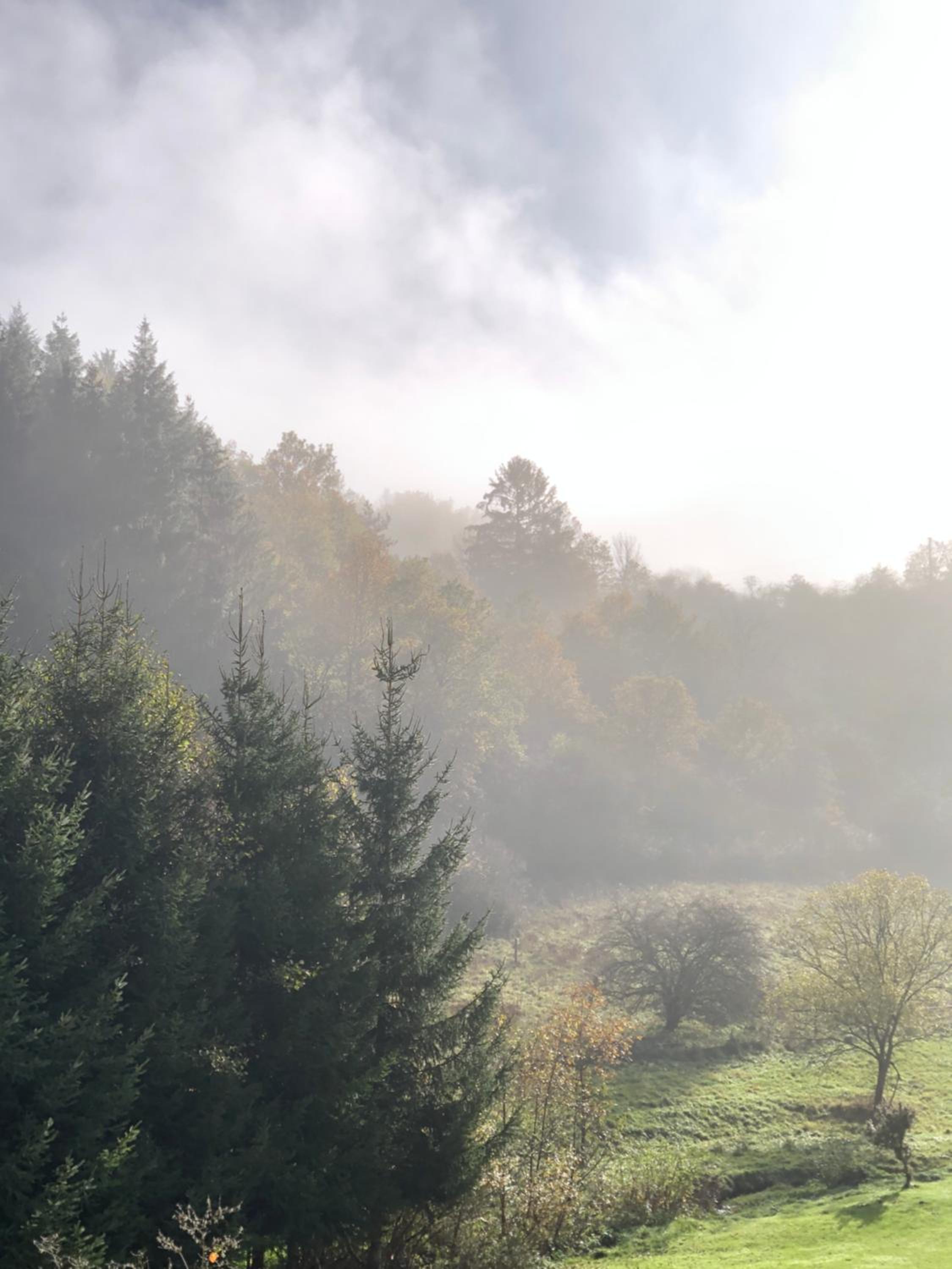 House with a View - Modernes Ferienhaus in der Eifel