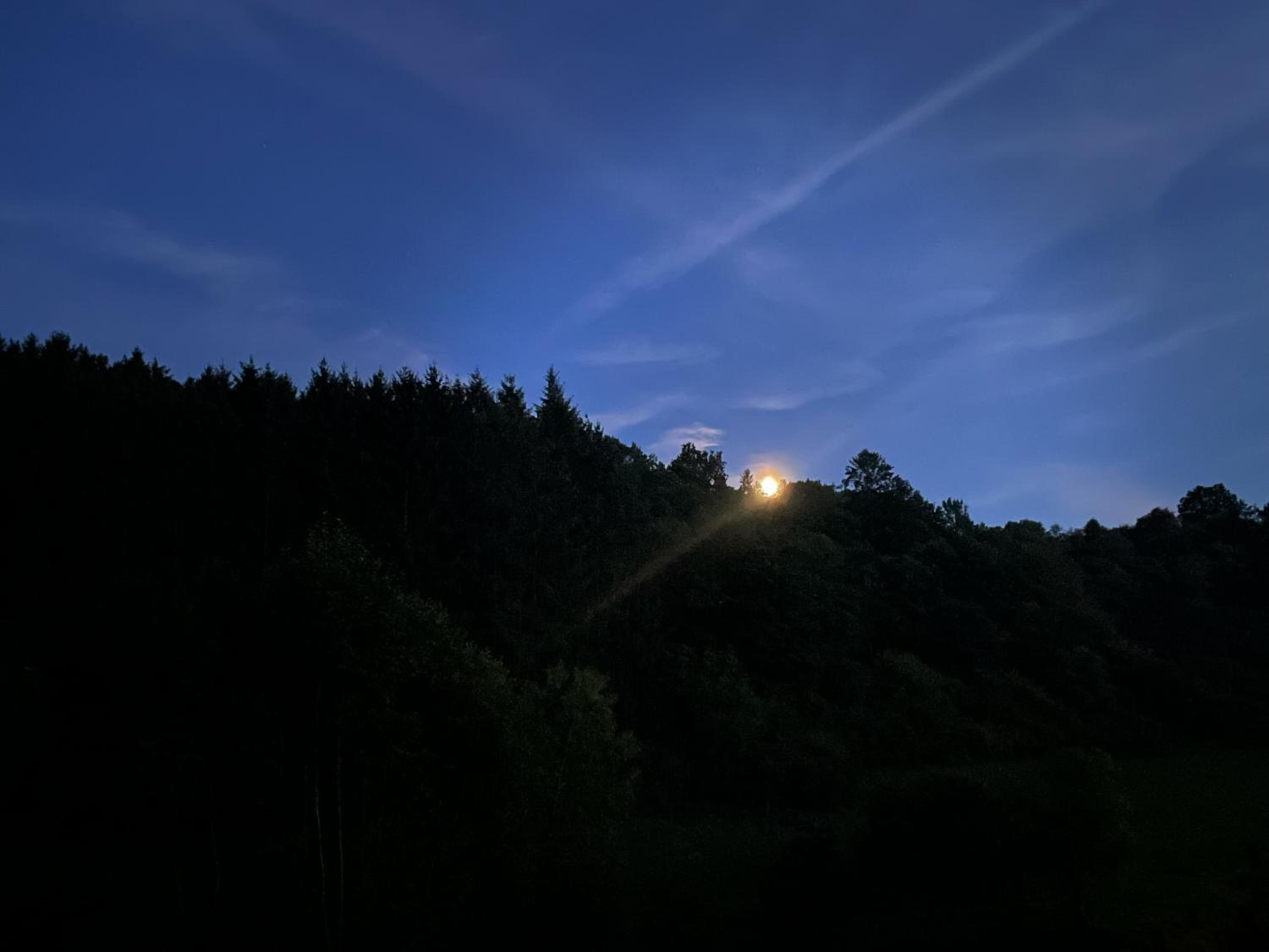 House with a View - Modernes Ferienhaus in der Eifel
