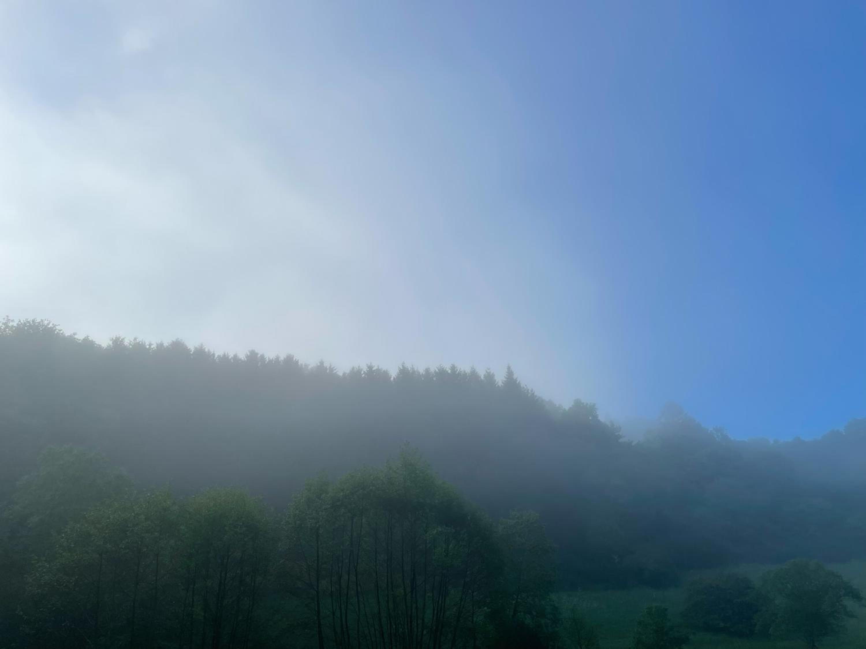 House with a View - Modernes Ferienhaus in der Eifel