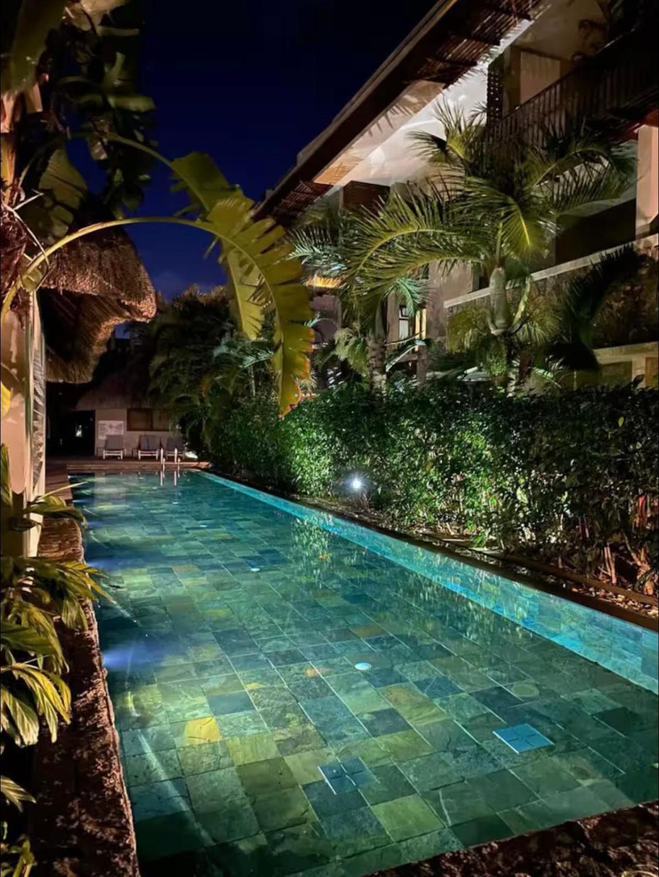 Tropical Elegance - Appartement view 4