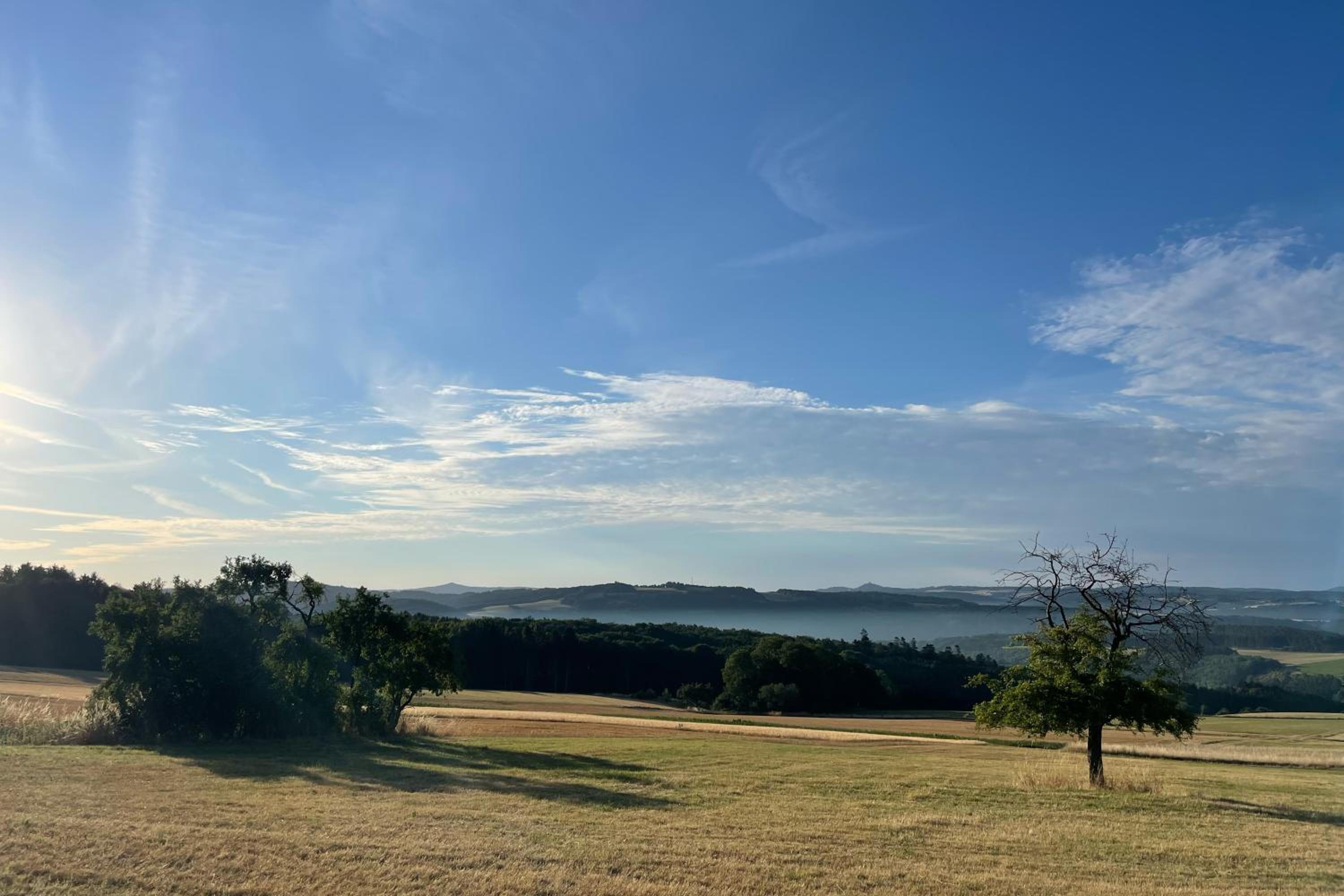 House with a View - Modernes Ferienhaus in der Eifel