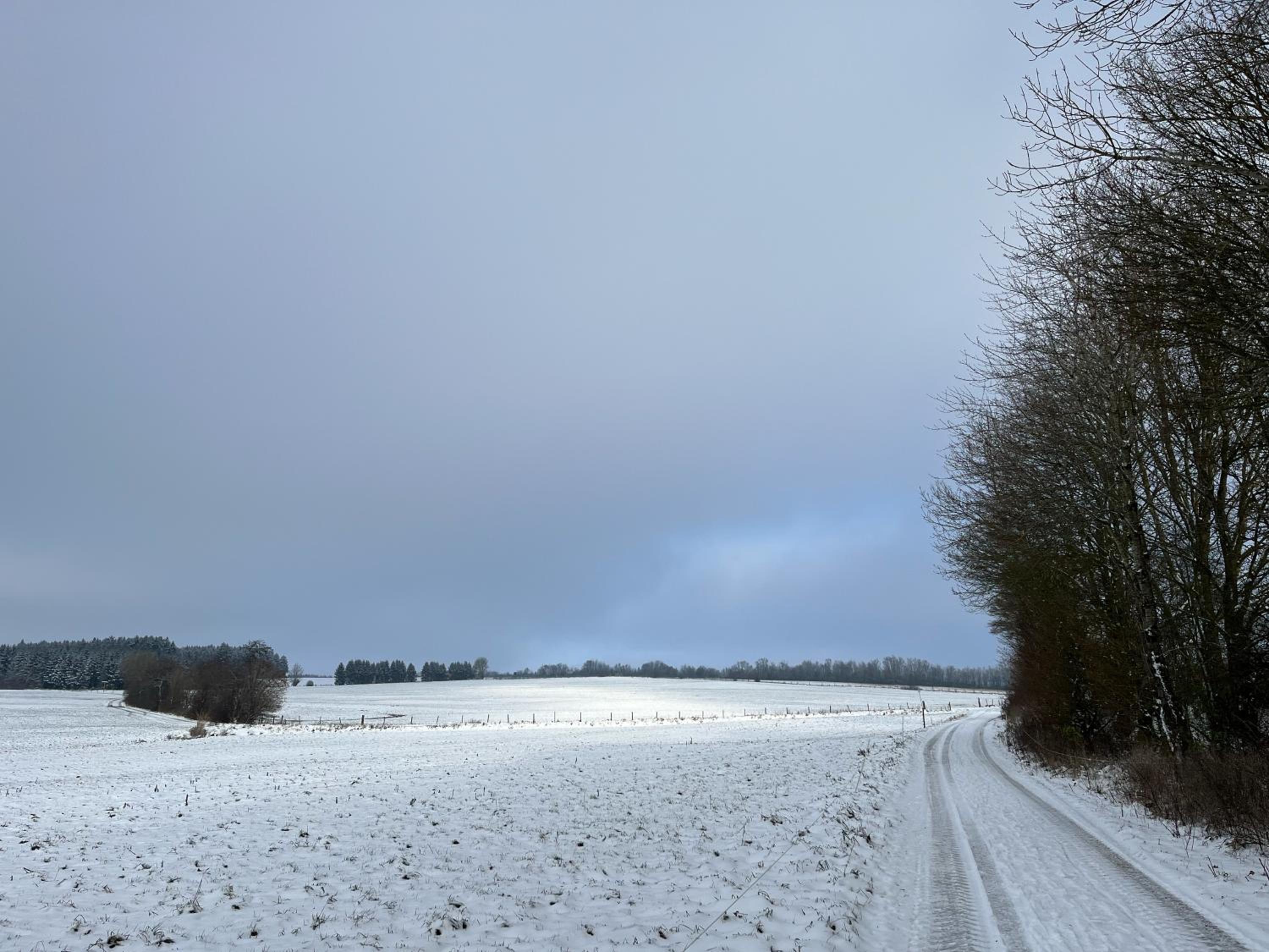 House with a View - Modernes Ferienhaus in der Eifel