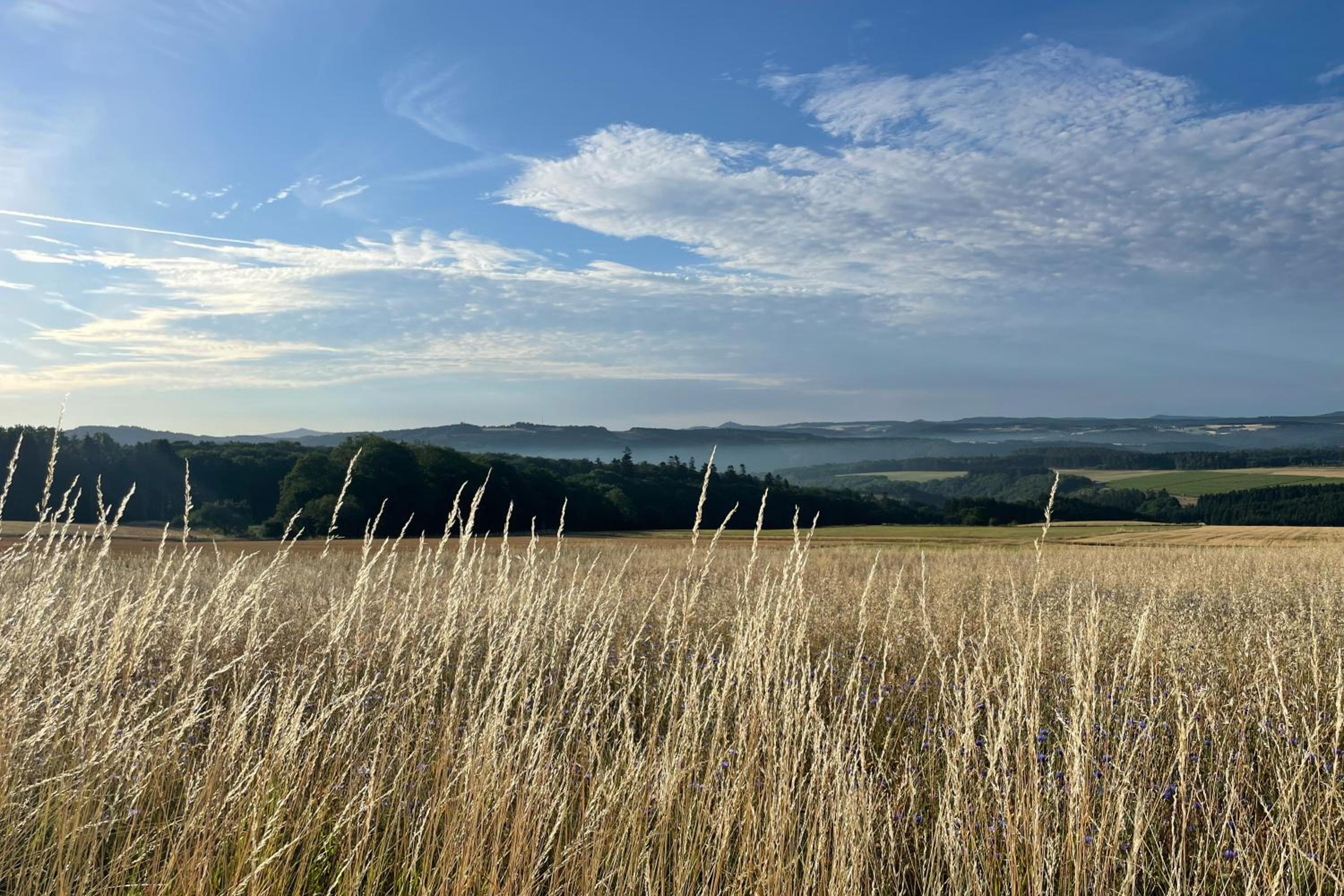House with a View - Modernes Ferienhaus in der Eifel