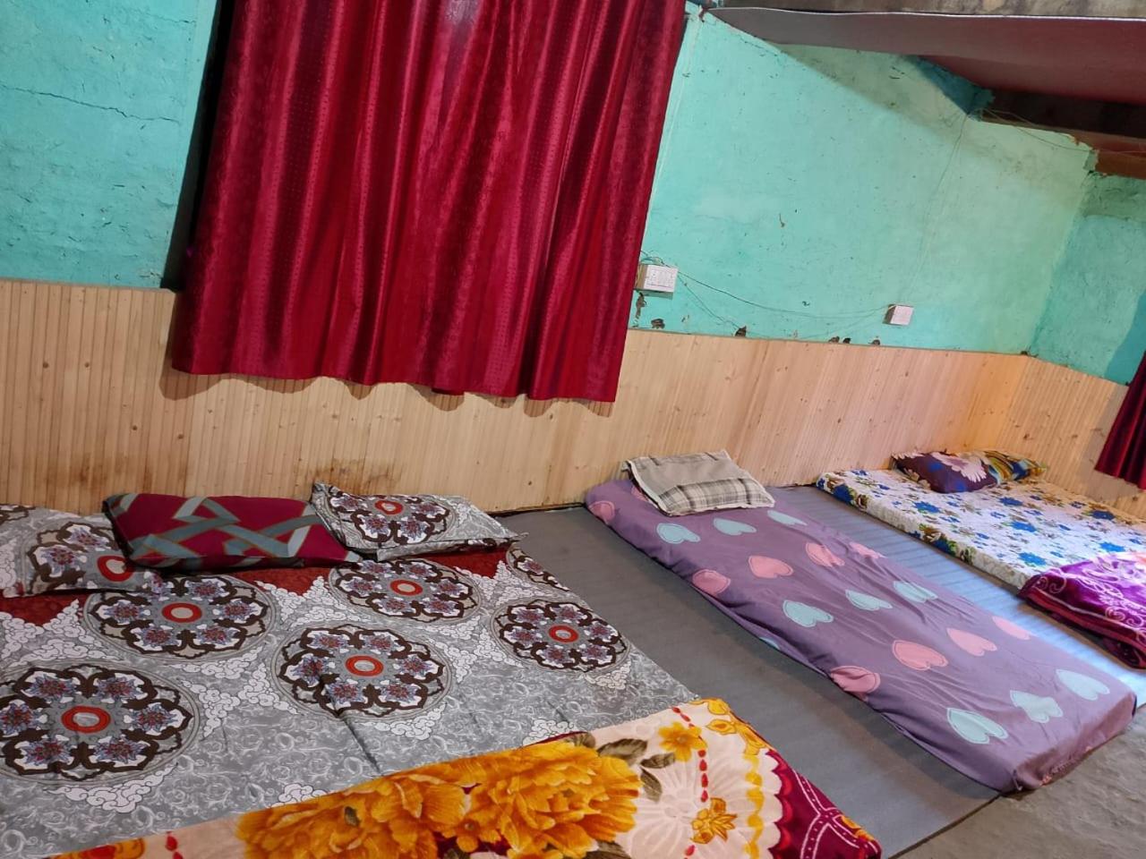 Shivadelic Duniya