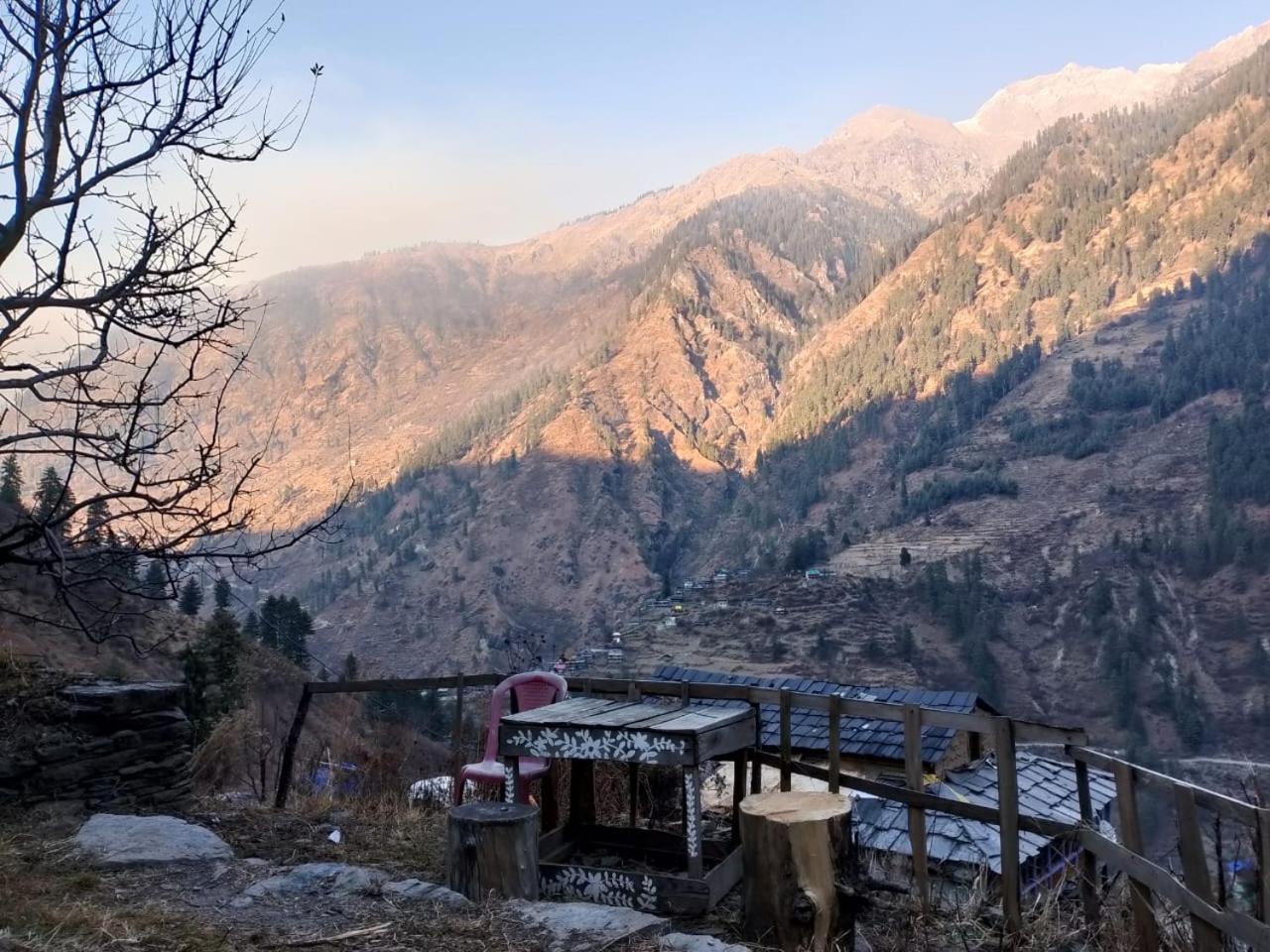 Shivadelic Duniya