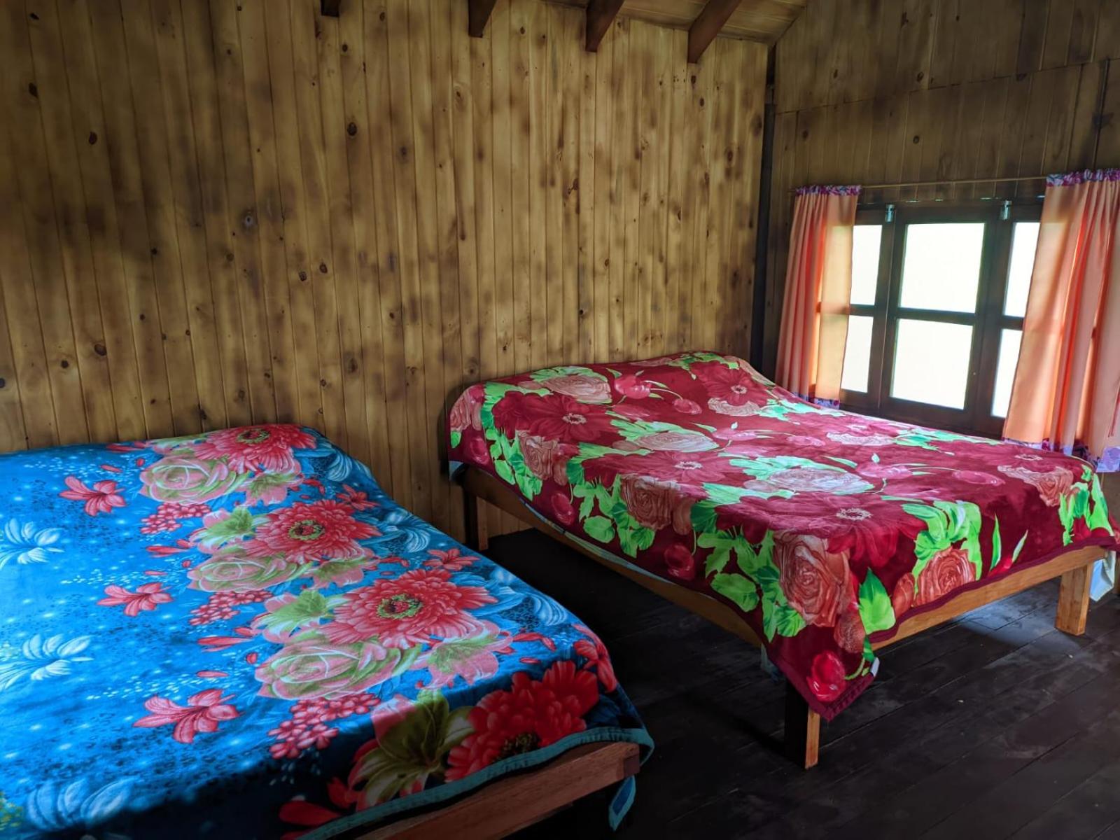Camping y Cabañas Hugo y Cefe