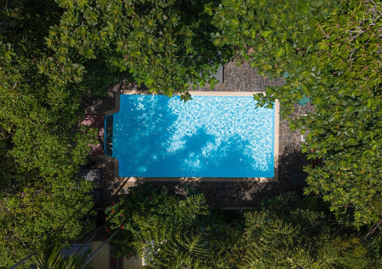 Hotel Jungle Addition - Image 1