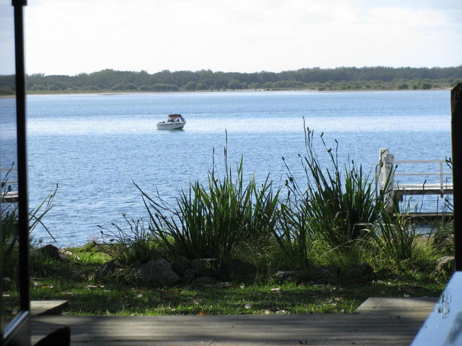 Beachfront Seagulls on Shoalhaven