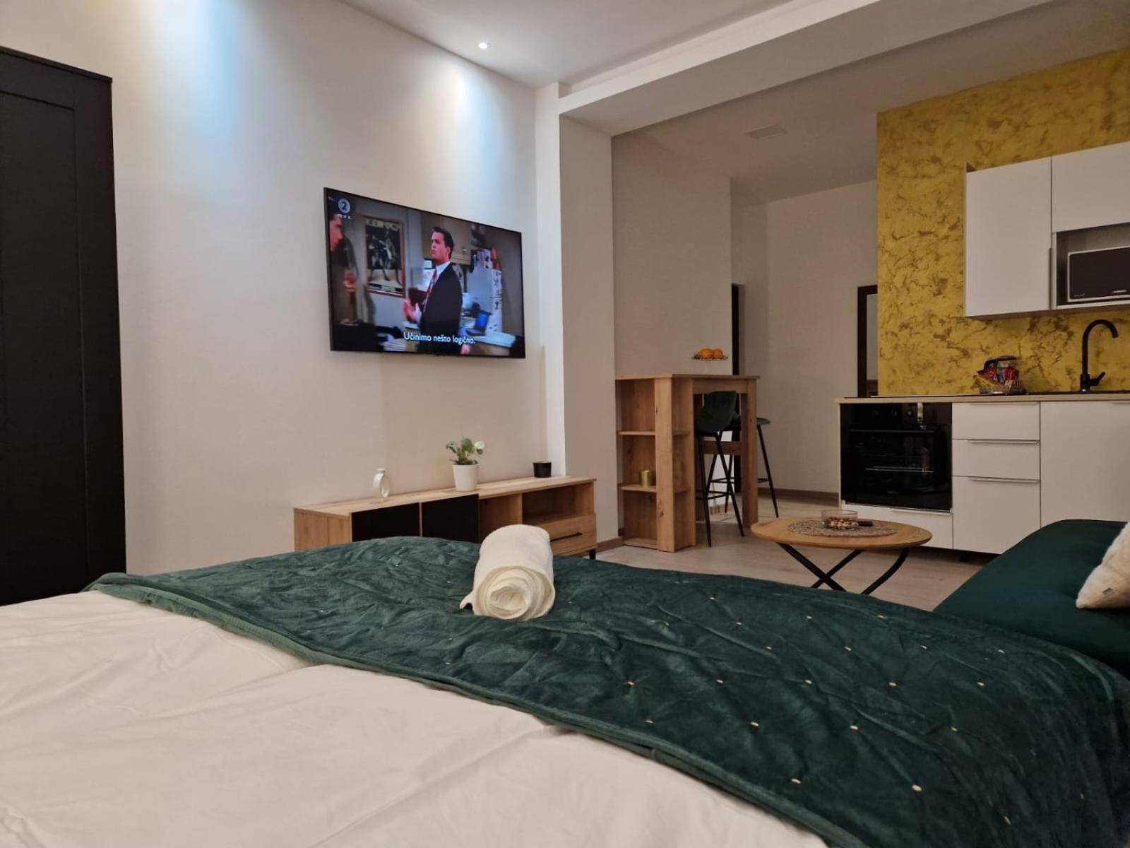 Apartment Luxury B view 4