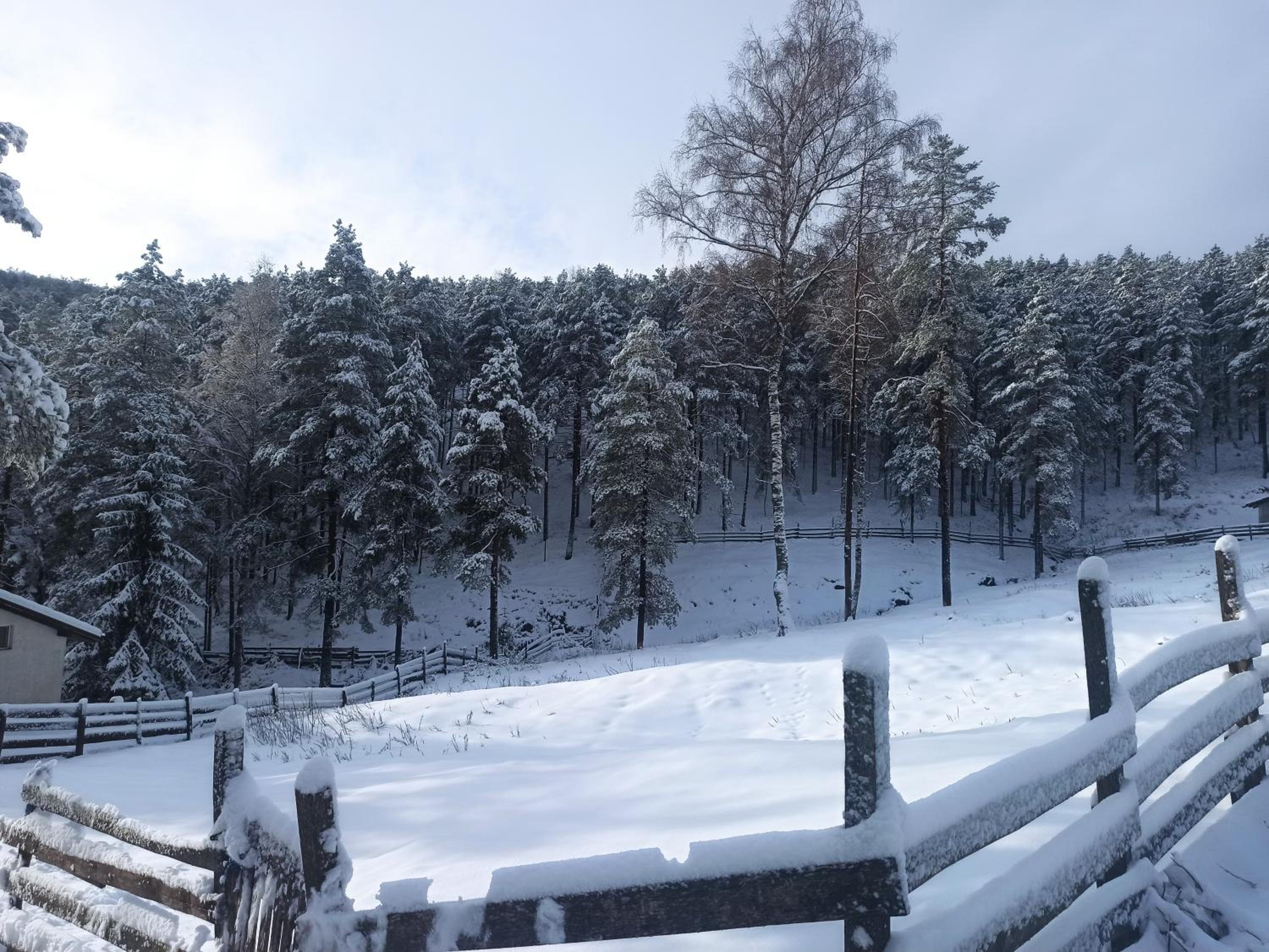 Kuća za odmor-Aleksandra view 3