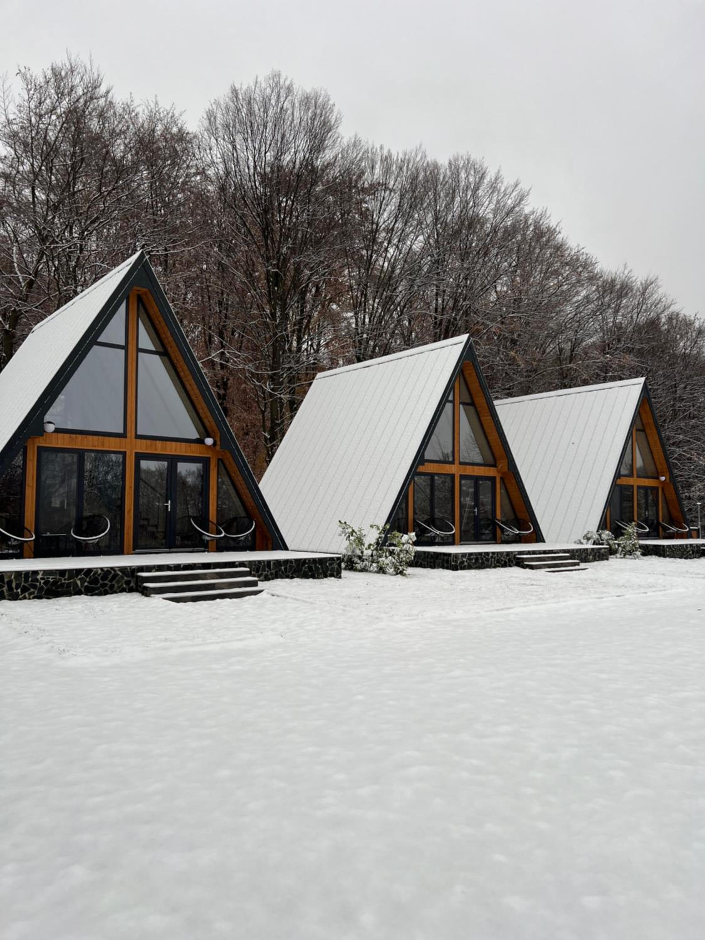 Hotel A-frame Marisa Vadu Crisului