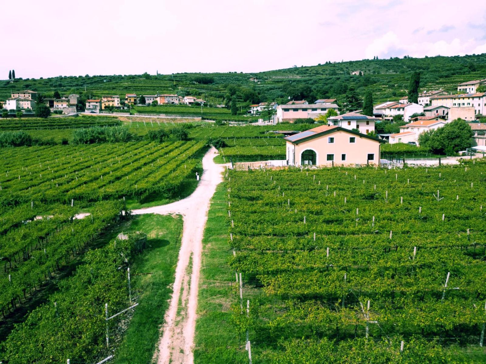 Agriturismo Igino - Camere fra Vigneti della Valpolicella