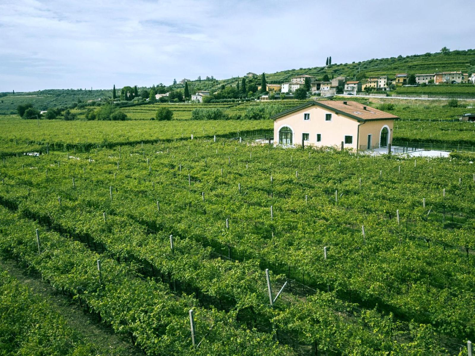 Agriturismo Igino - Camere fra Vigneti della Valpolicella