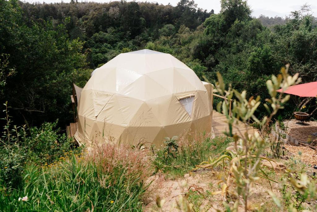 Soul Forest GeoDome - Off-grid Nature Escape