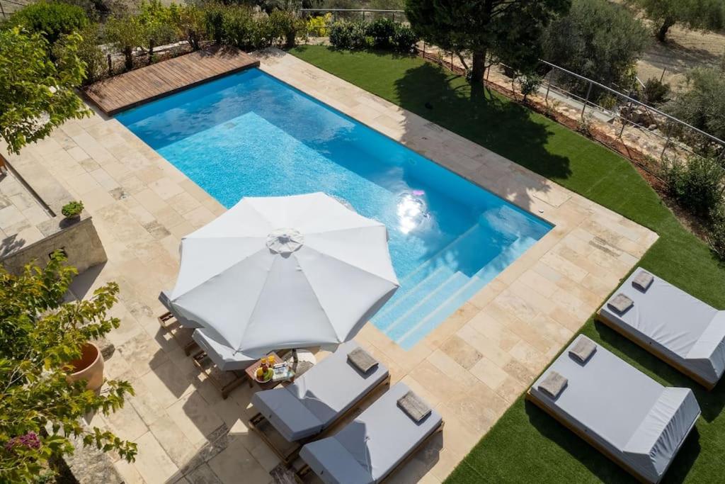 Villa Olivetta - The private Oasis view 5