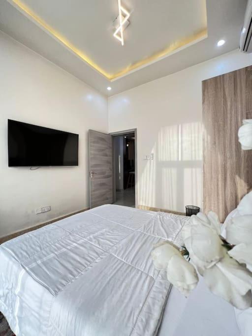 Luxury 2 Bedroom Apartment 247 Electricity, Wi-Fi
