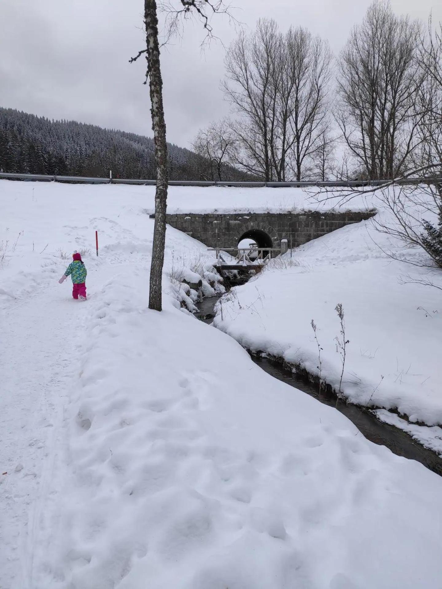 Perfekte Lage zwischen Skipisten und Badeseen