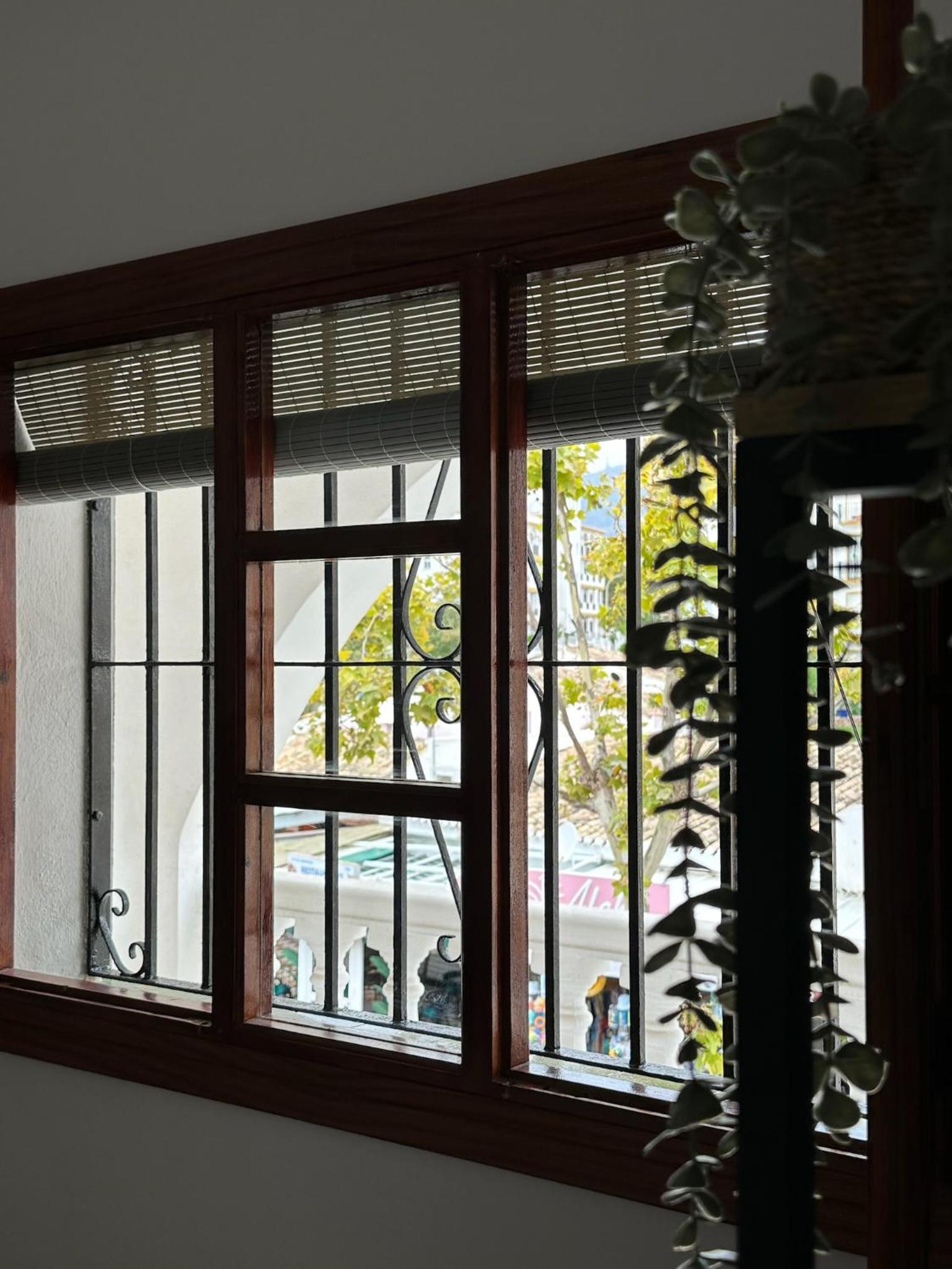 Casa Luna photo 3