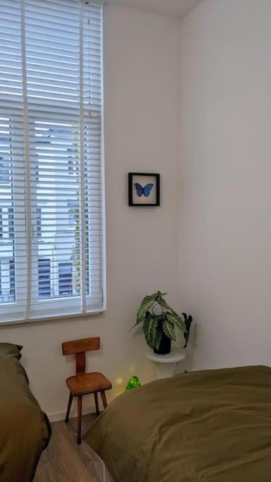 Guesthouse Josephine - Antwerpen