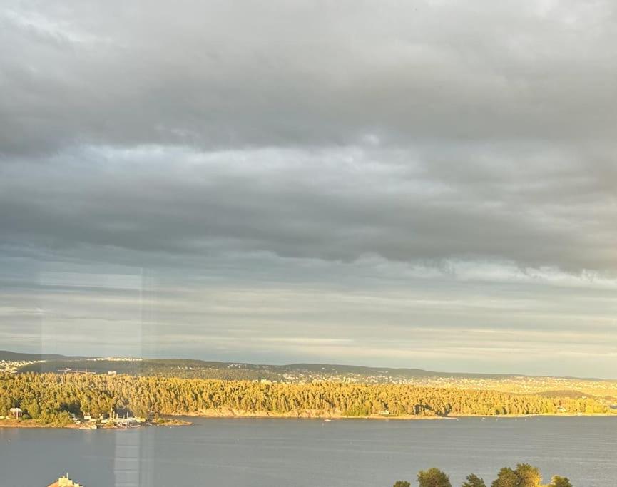 OSLO Exclusive estate - Close to Sea and City view 4